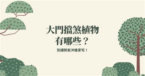 擋煞 植物|別讓煞氣沖進家宅！大門擋煞植物有哪些？ 